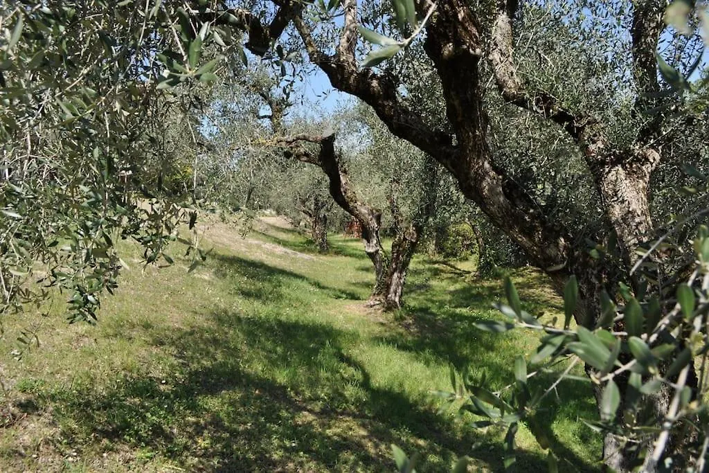 La Casa Tra Gli Olivi Villa Sona Holiday home