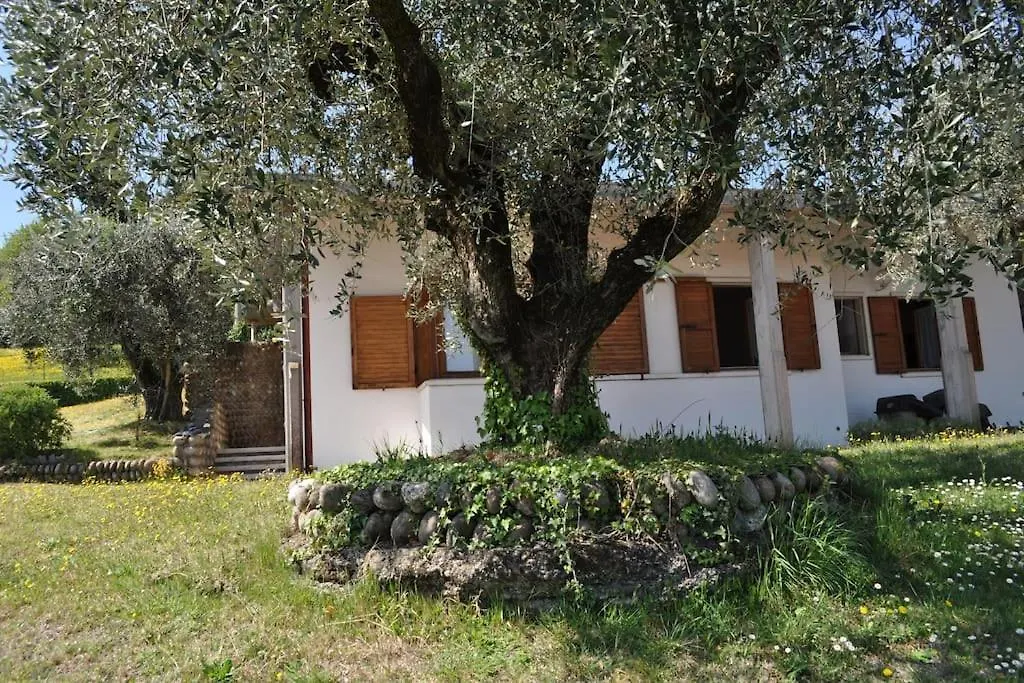 La Casa Tra Gli Olivi Villa Sona